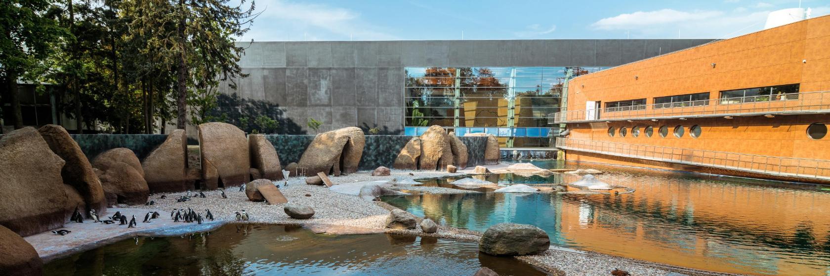 Dierentuin van Wrocław